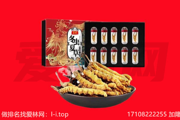 鹤壁市回收虫草.jpg